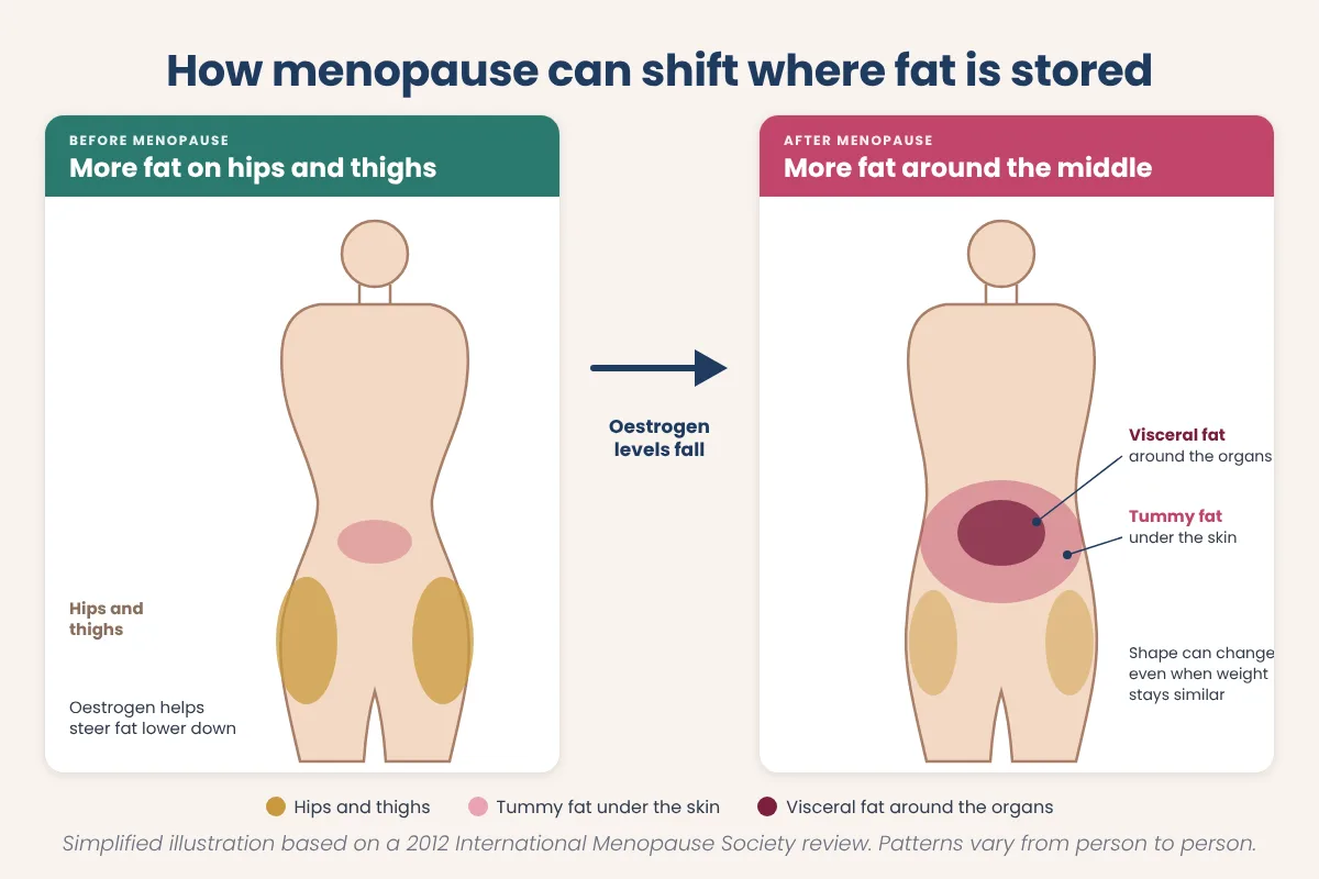 Diagram comparing fat stored mainly on the hips and thighs before menopause with more fat stored around the tummy and organs after menopause