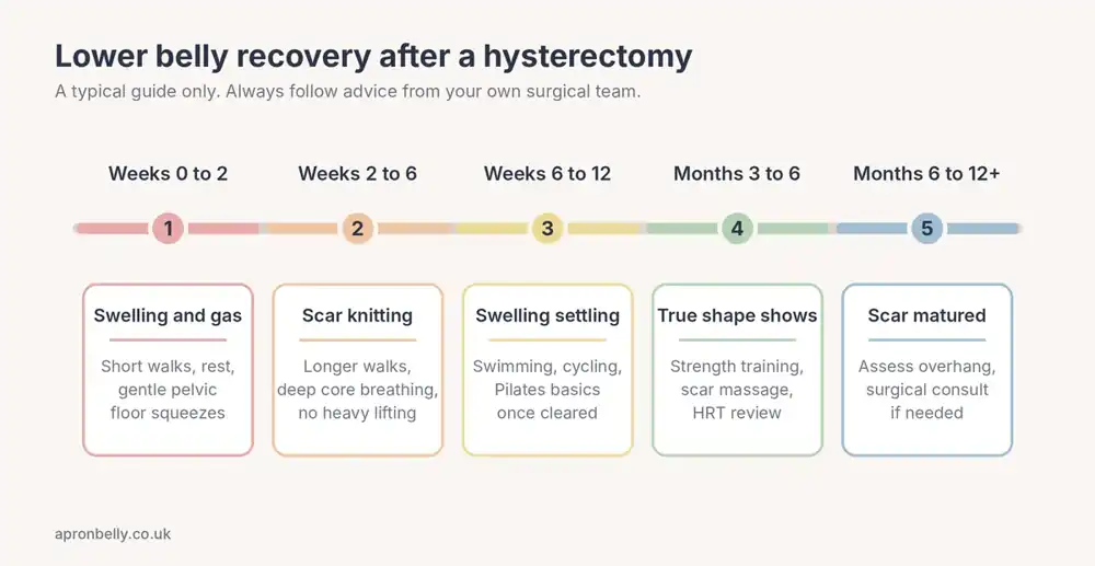 Hysterectomy recovery timeline for the lower belly from weeks 0 to 2 up to 12 months
