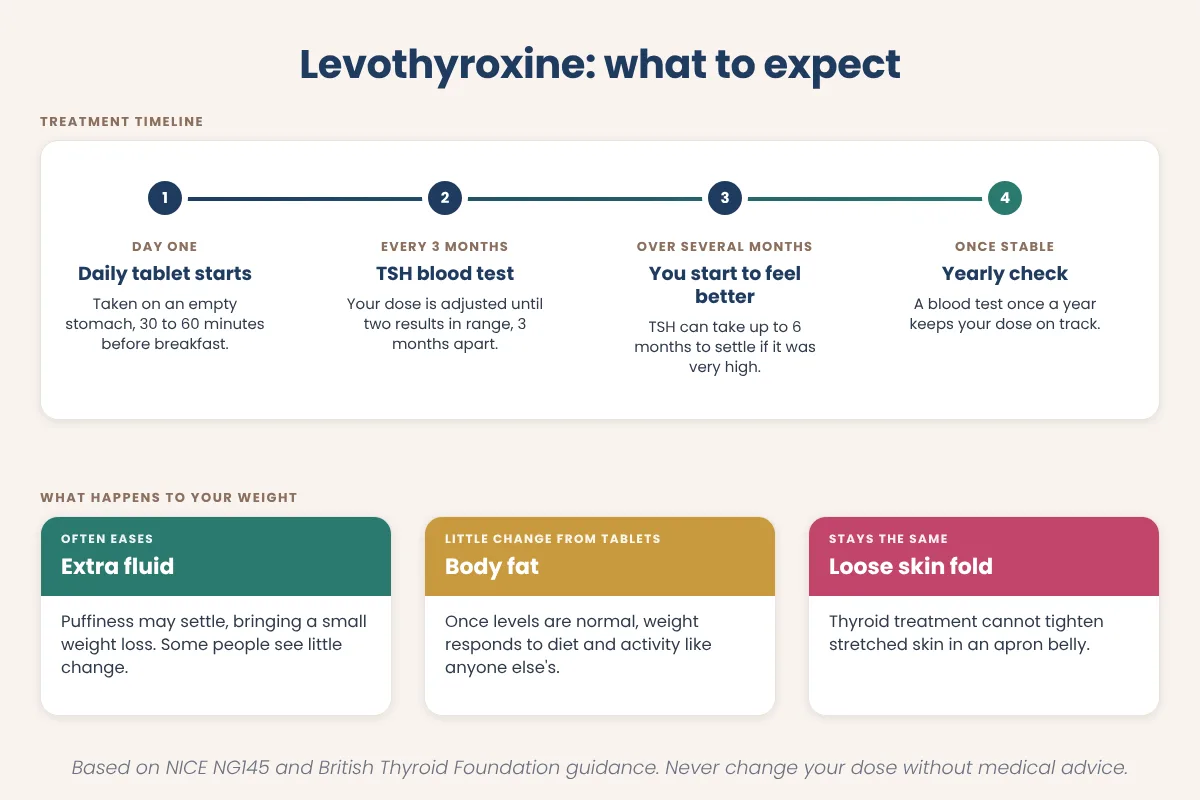 Timeline infographic of levothyroxine treatment showing blood tests every 3 months until stable, then yearly, and the small fluid-based weight change to expect