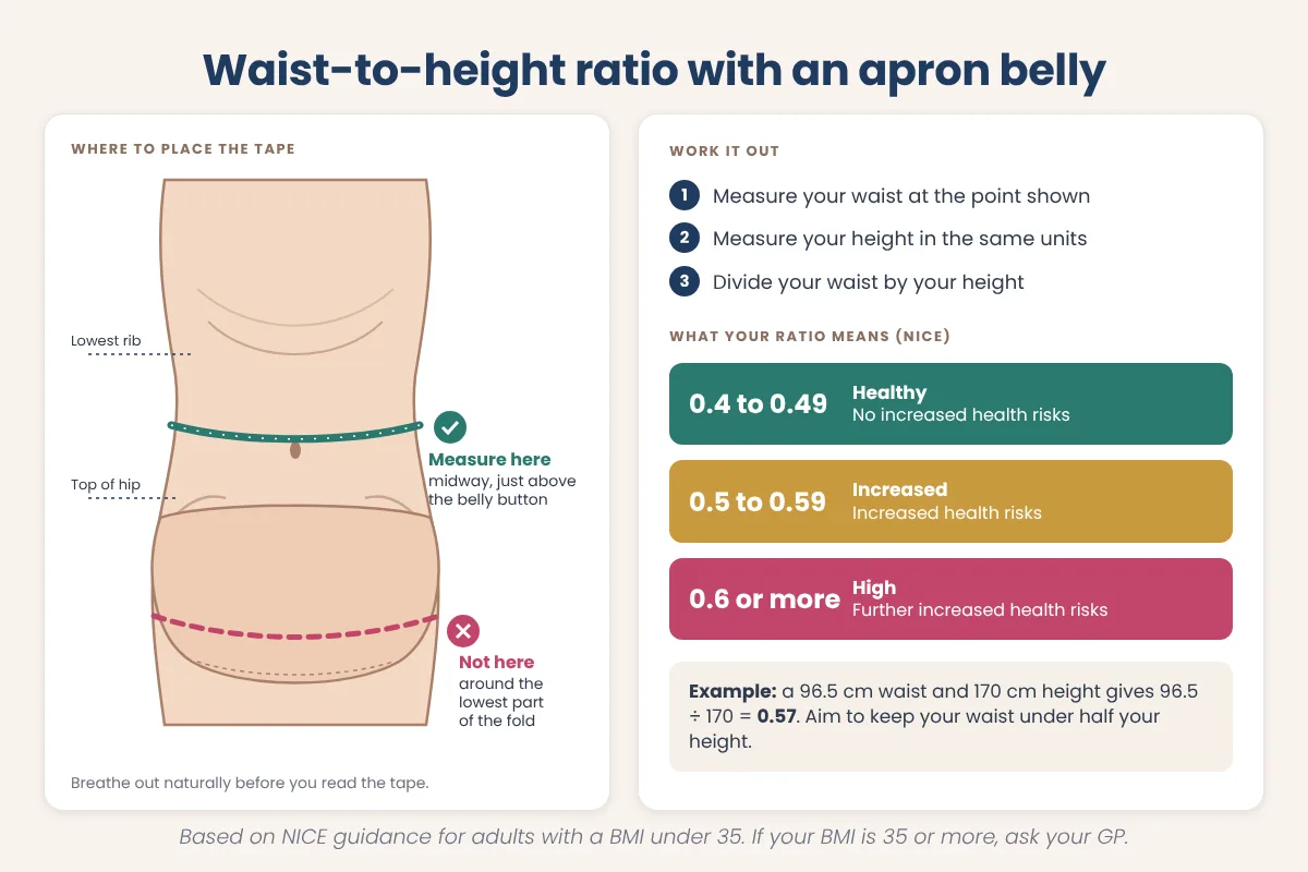 Infographic showing where to place a tape measure above an apron belly fold and the NICE waist-to-height ratio bands of 0.4, 0.5 and 0.6